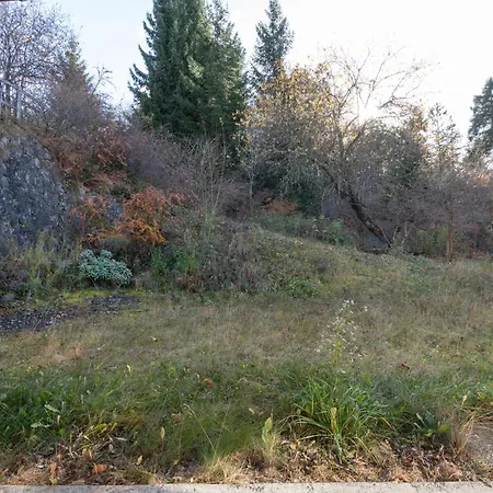 Huettenbichl Tatil Evi *